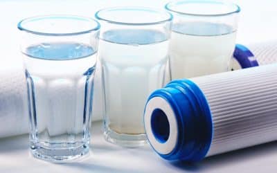 Home Water Filtration: Maintenance Guide for 2024